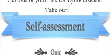 test lyme disease